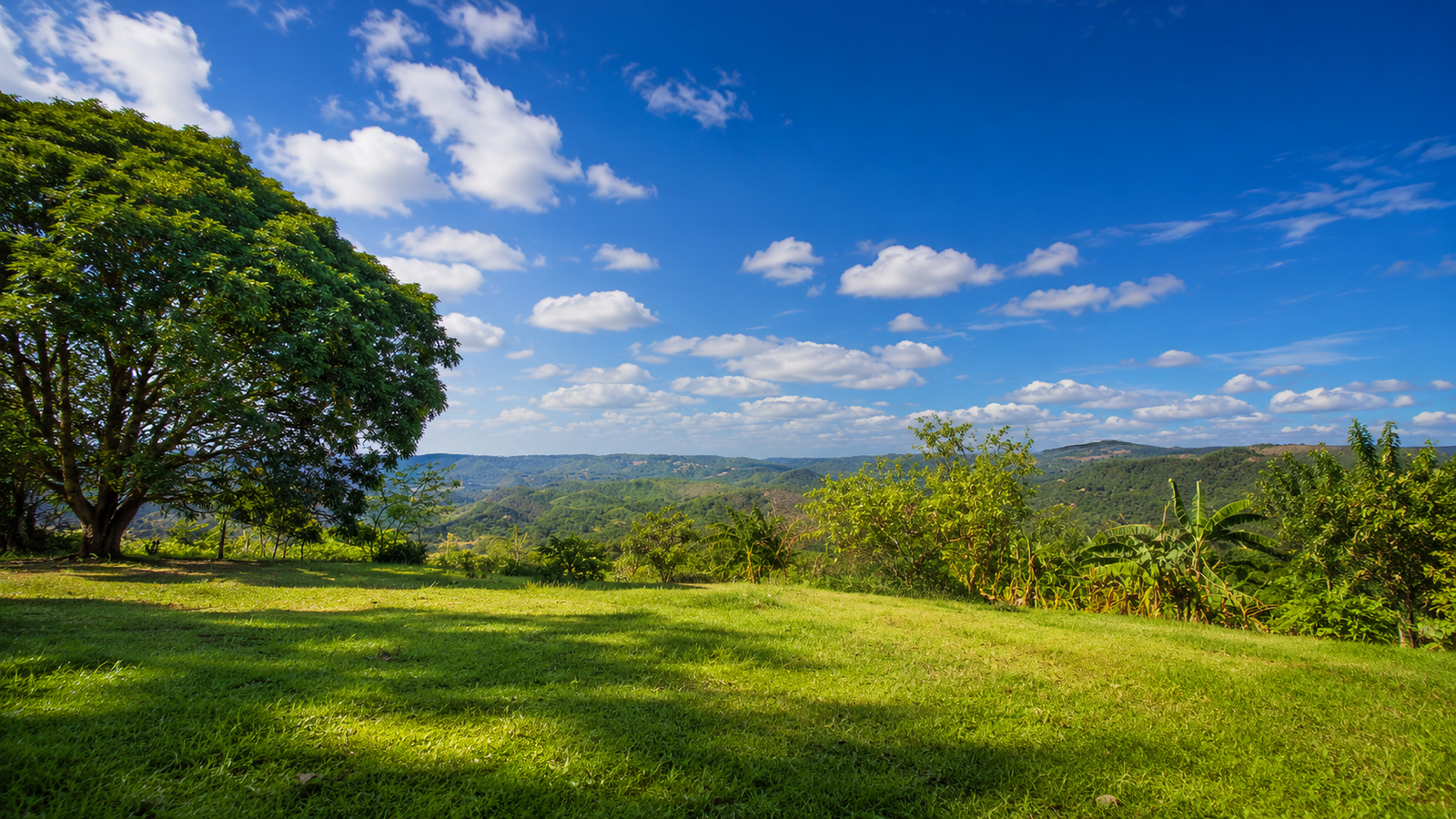 Gran Alta Vista